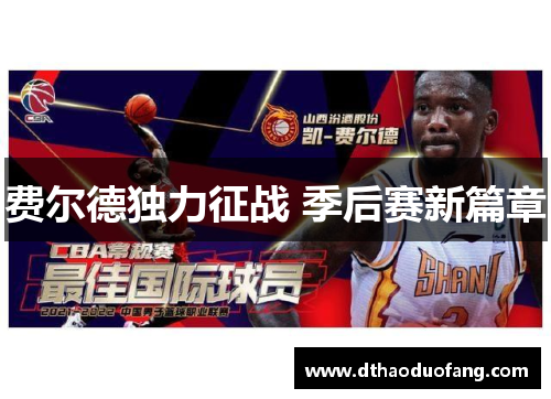 费尔德独力征战 季后赛新篇章